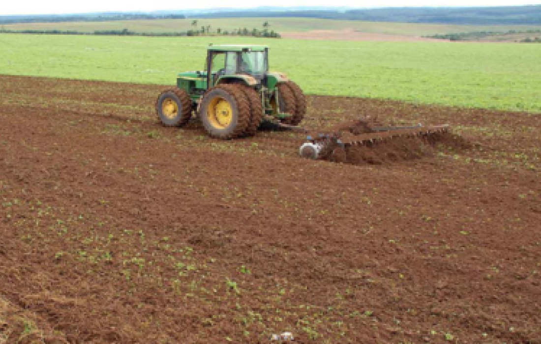 Vazio sanit&aacute;rio da soja come&ccedil;a s&aacute;bado, no Paran&aacute;                              
