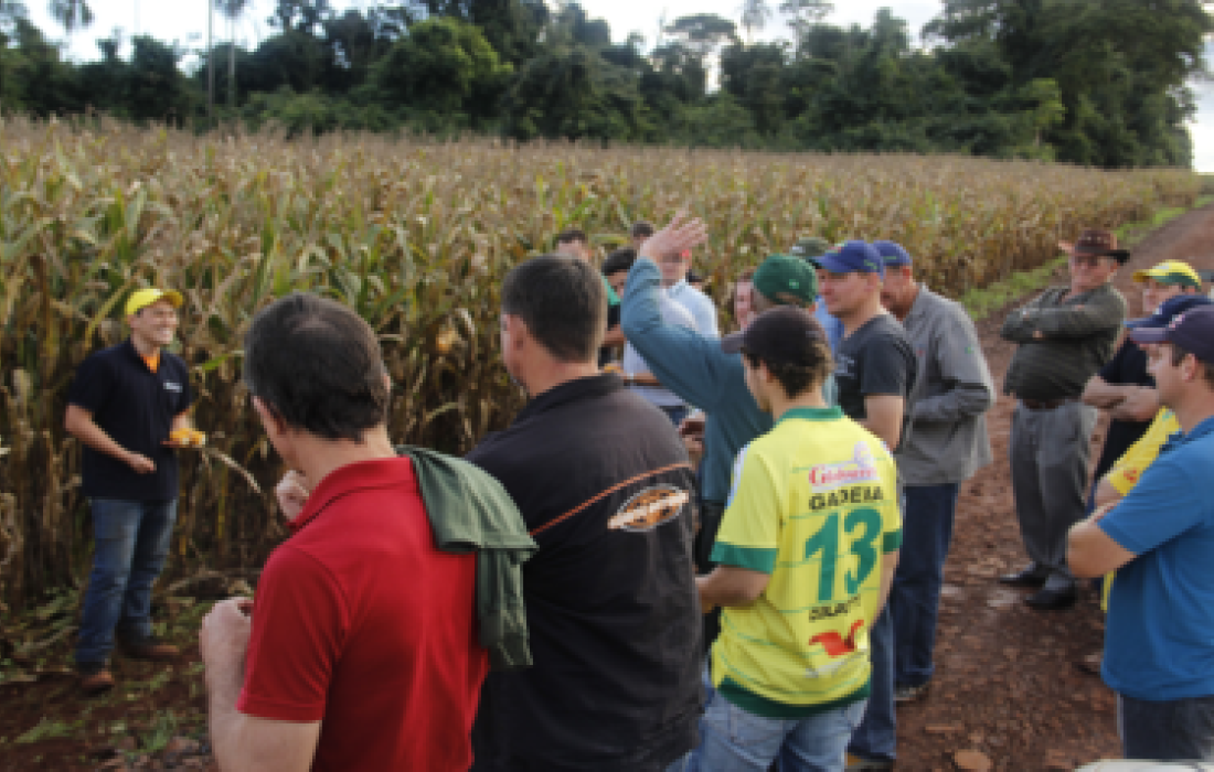 Associados participam de Dia de Campo &ndash; Produtos Agr&iacute;colas                              