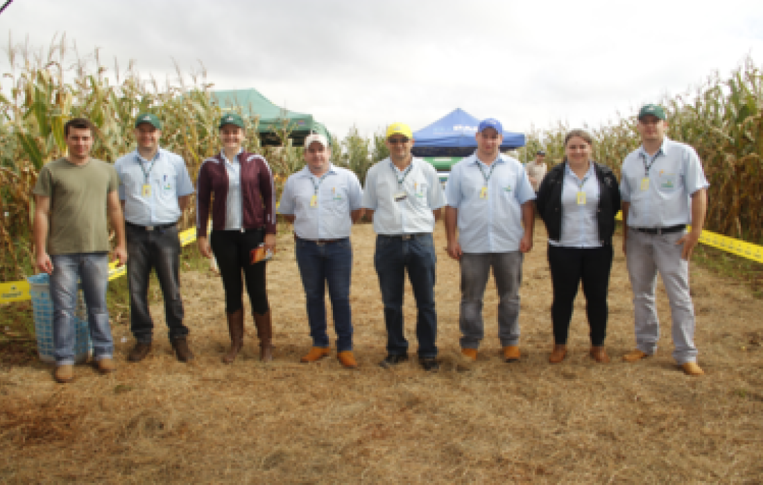 Bom tempo atraiu p&uacute;blico ao Dia de Campo em Bela Vista                              