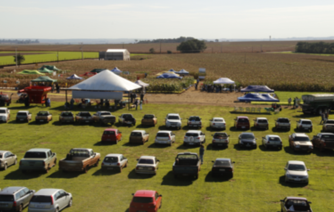 Dia de Campo Milho Safrinha recebe 600 visitantes
