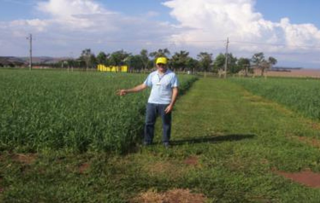 Esta&ccedil;&atilde;o Experimental j&aacute; prepara Dia de Campo 2014