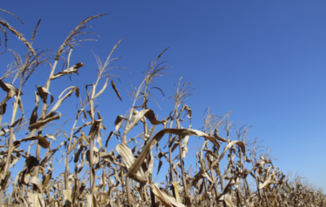 Tecnologia BT, uma nova op&ccedil;&atilde;o