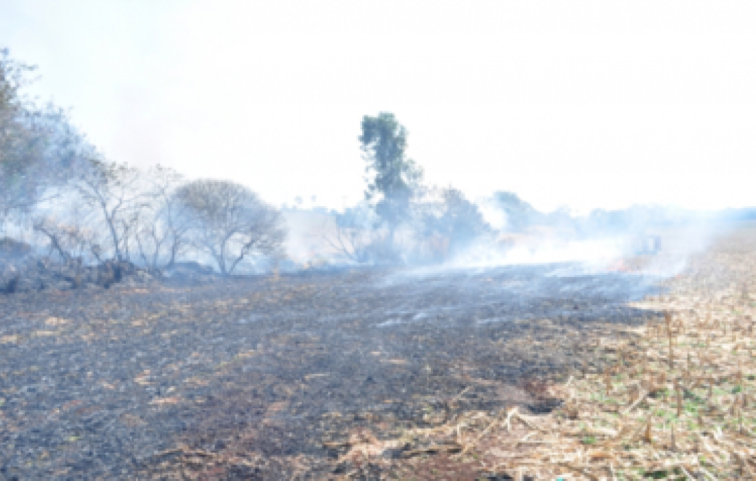 Clima seco, alerta para as queimadas