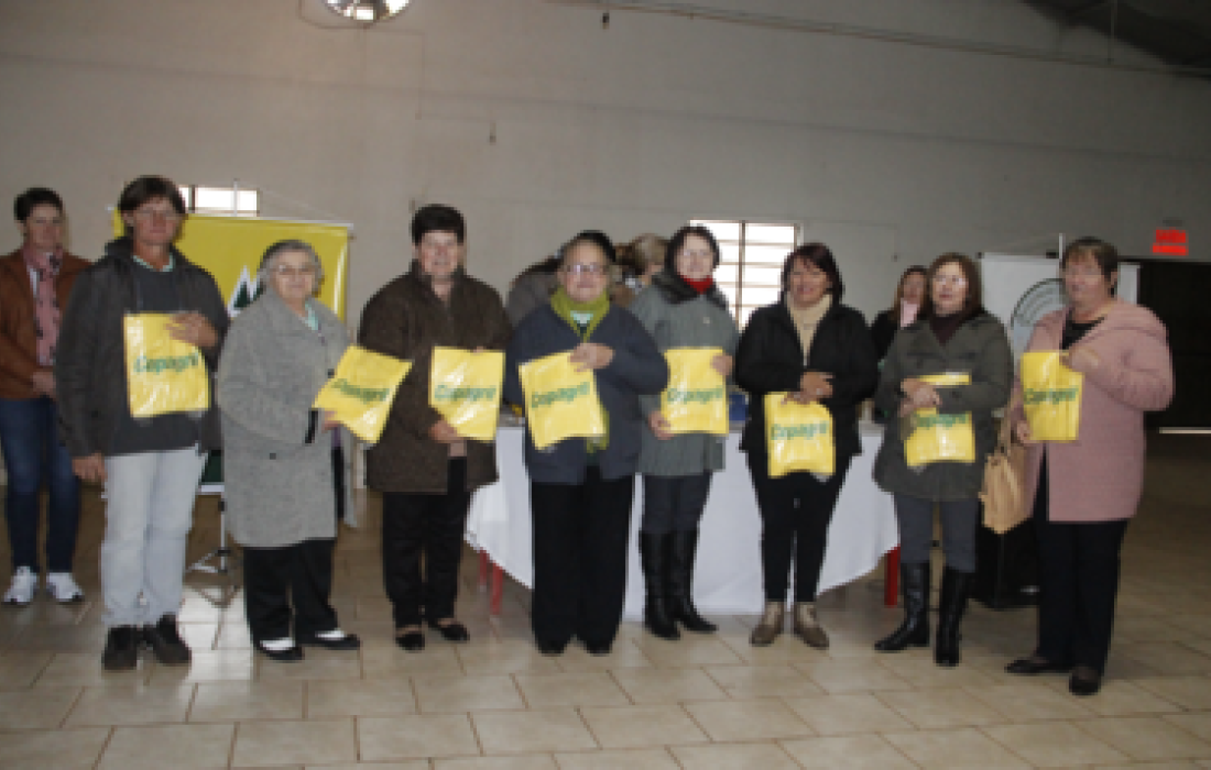 Uni&atilde;o e Progresso: Comit&ecirc; Feminino mais antigo da Copagril comemora 30 anos