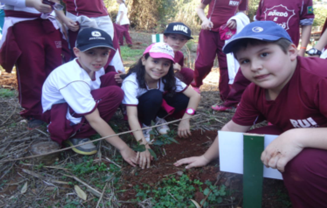 Alunos do Rui Barbosa visitam Unidade Industrial de Aves