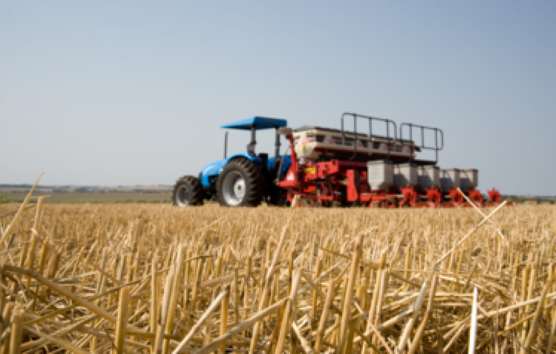 Plantio direto: t&eacute;cnica paranaense revolucionou a agricultura mundial