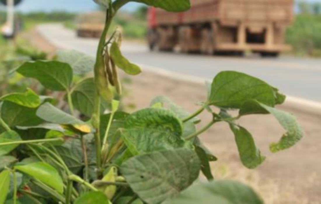 Vazio sanit&aacute;rio: regional de Toledo n&atilde;o registrou autua&ccedil;&otilde;es