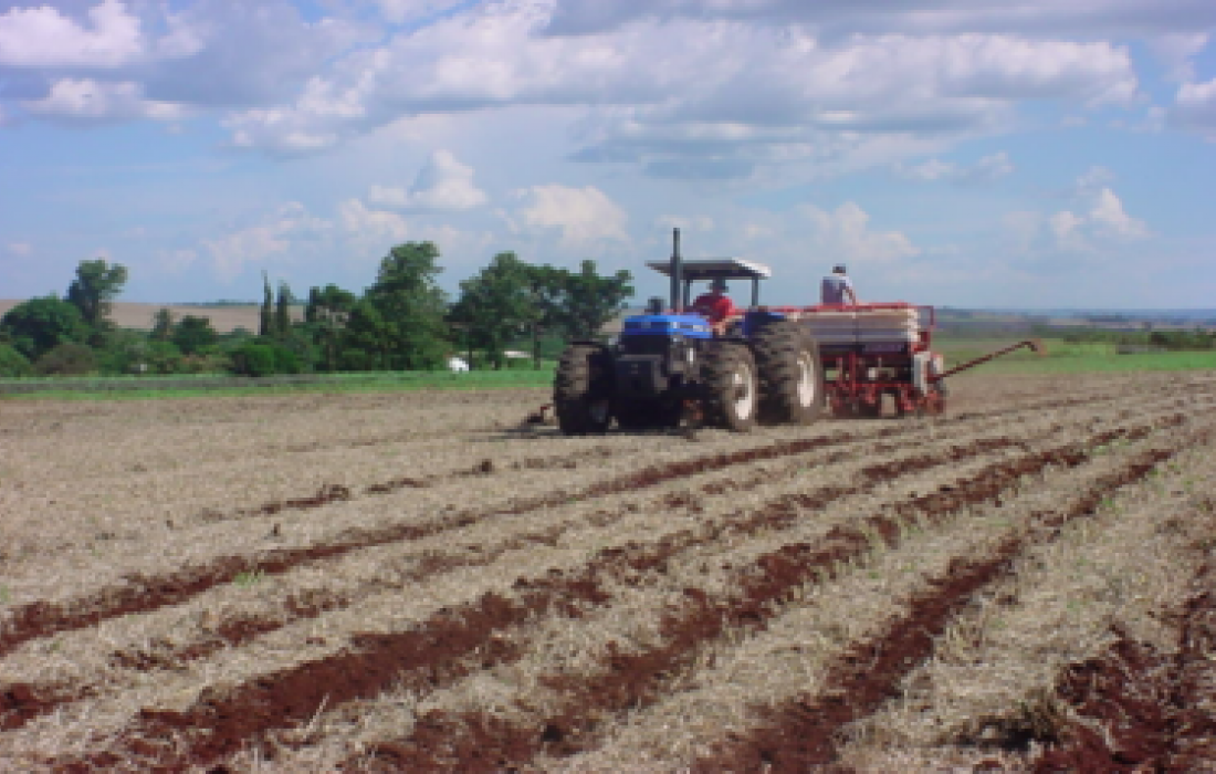 &Aacute;rea t&eacute;cnica orienta sobre o plantio de soja