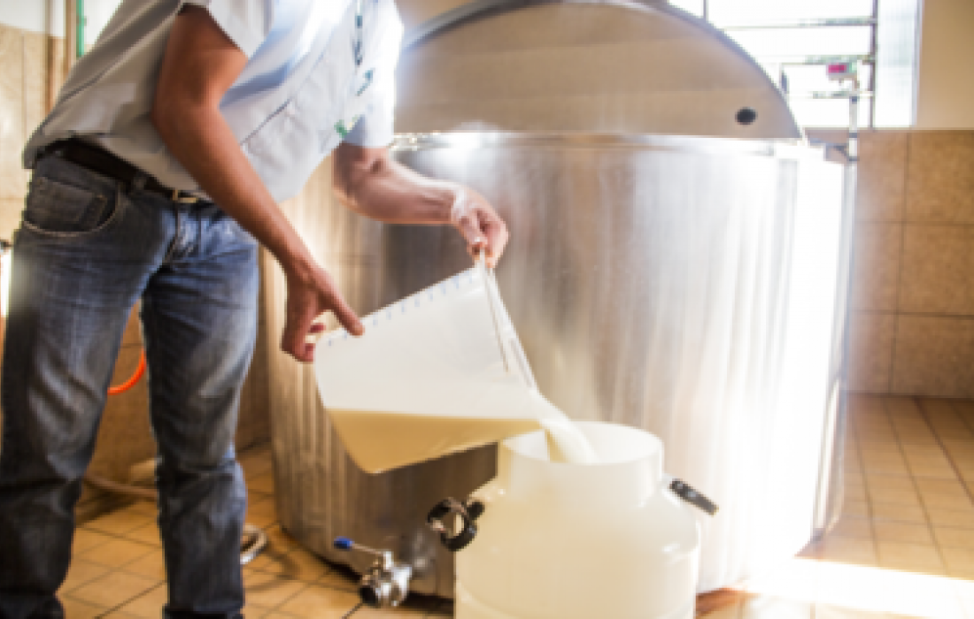 Leite: pre&ccedil;o atinge maior patamar real de toda a s&eacute;rie do Cepea, de 13 anos