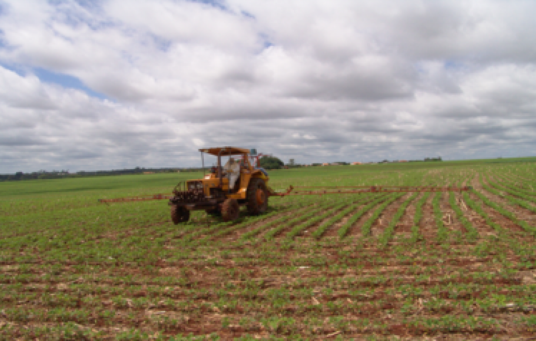 Aten&ccedil;&atilde;o &agrave; infesta&ccedil;&atilde;o de ervas daninhas p&oacute;s-emerg&ecirc;ncia 