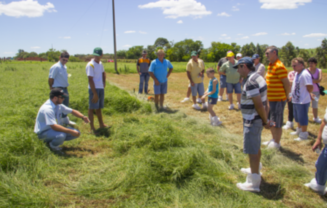 Propriedade leiteira com maior produ&ccedil;&atilde;o por &aacute;rea da Copagril recebe dia de campo