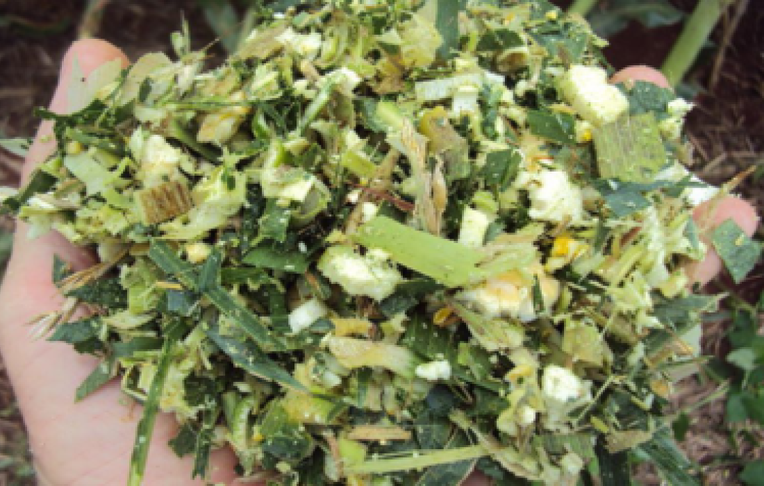 Copagril promove V Concurso da Silagem de Melhor Qualidade