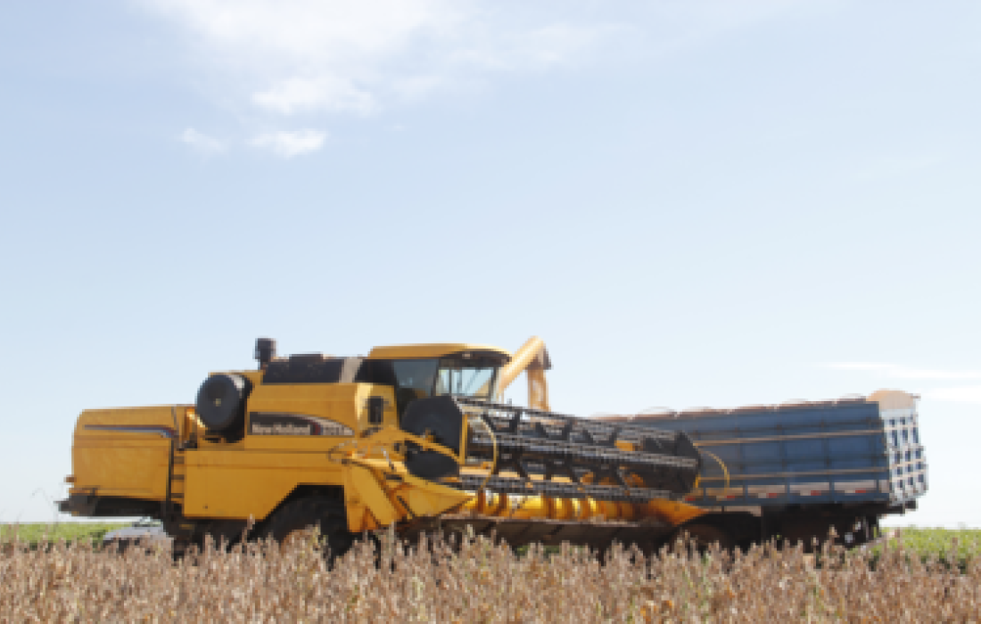 Inicia colheita de soja na &aacute;rea de a&ccedil;&atilde;o da Copagril