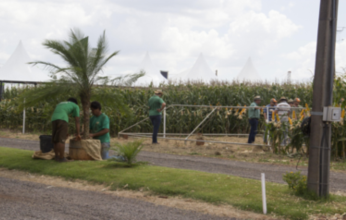 Biotecnologia ser&aacute; destaque do Dia de Campo Copagril