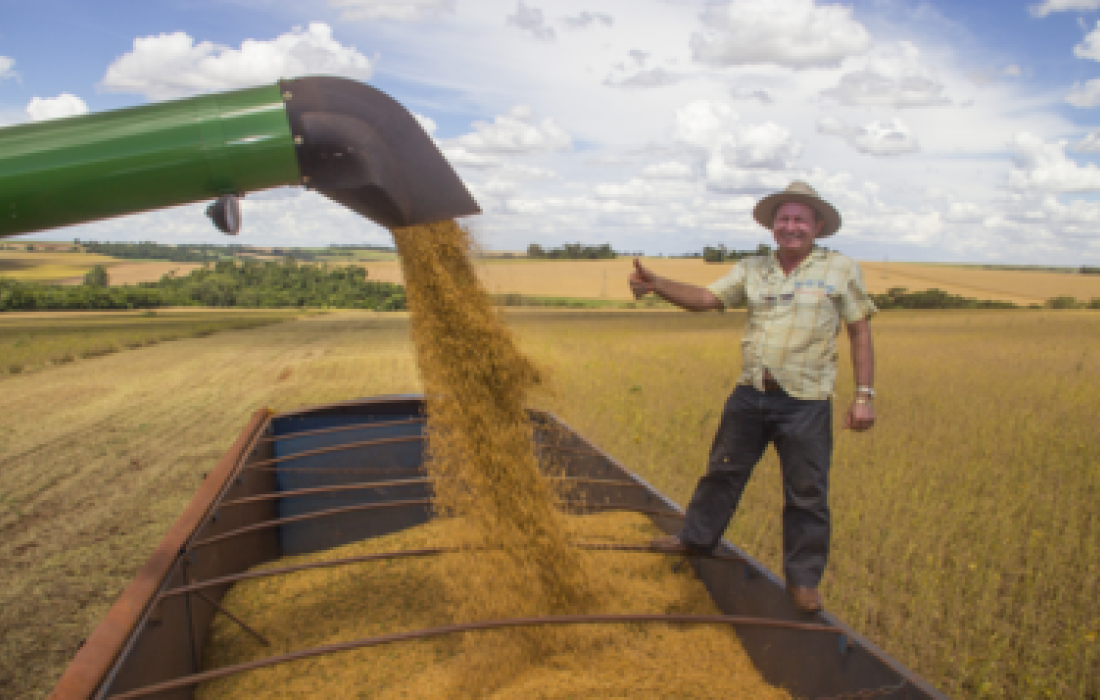 Colheita da soja &eacute; intensificada