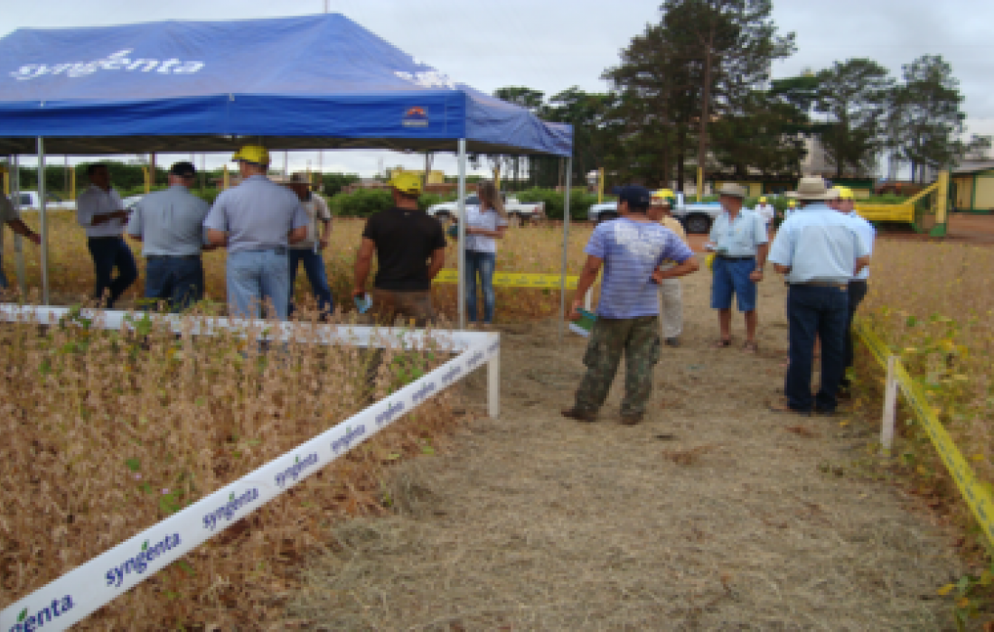 Dia de Campo soja ser&aacute; realizado em Bela Vista