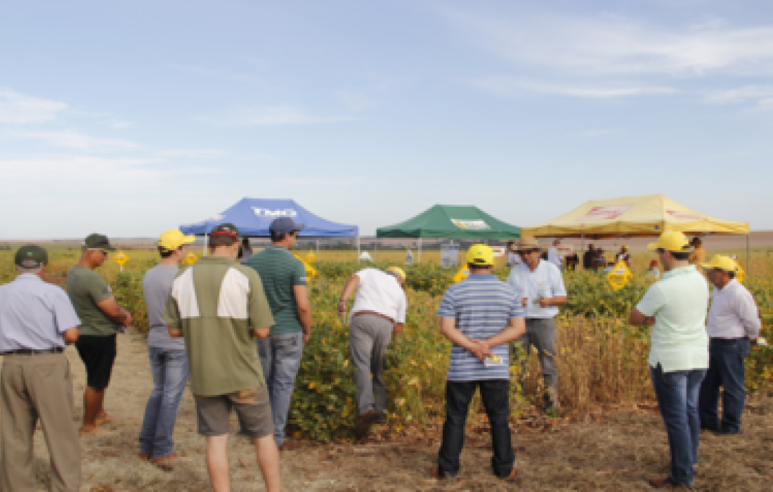 Copagril realiza Dia de Campo em Bela Vista