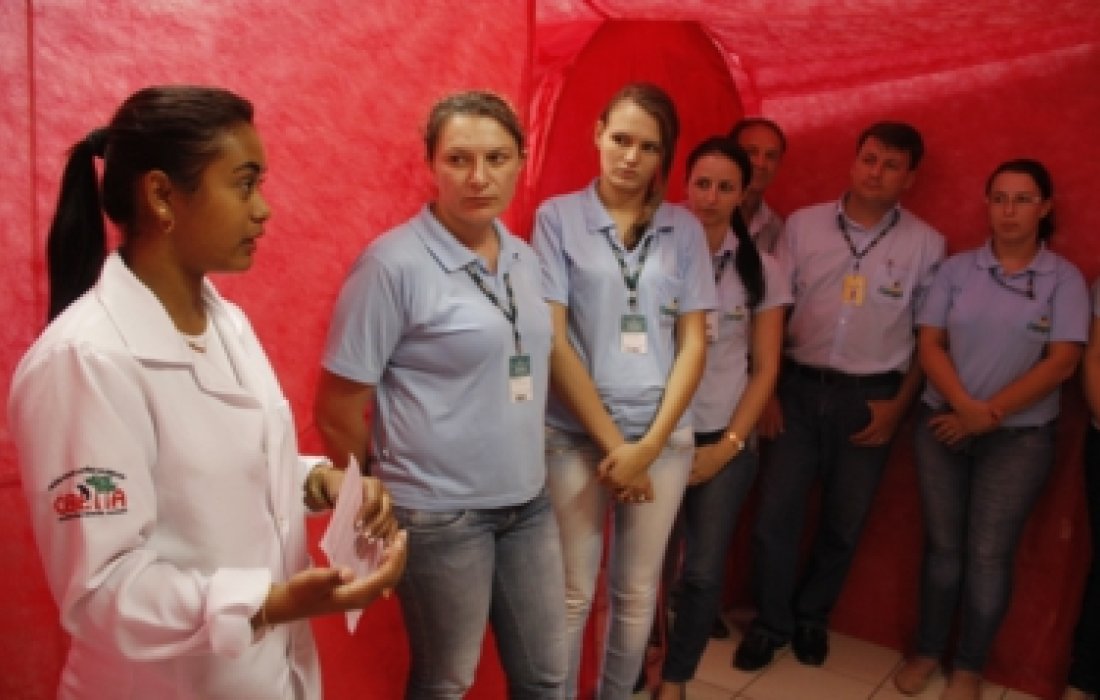 Saber &eacute; prevenir &ndash; um novo olhar na luta contra o c&acirc;ncer