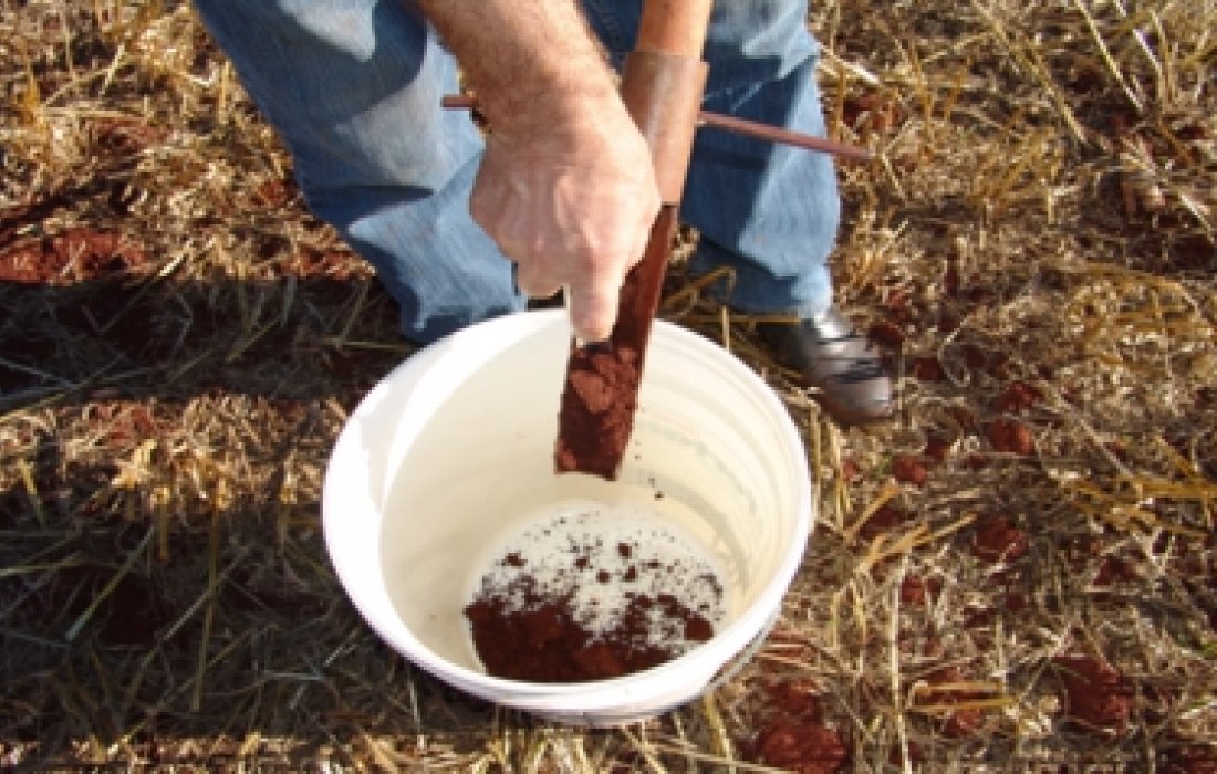 Solo f&eacute;rtil, melhores resultados