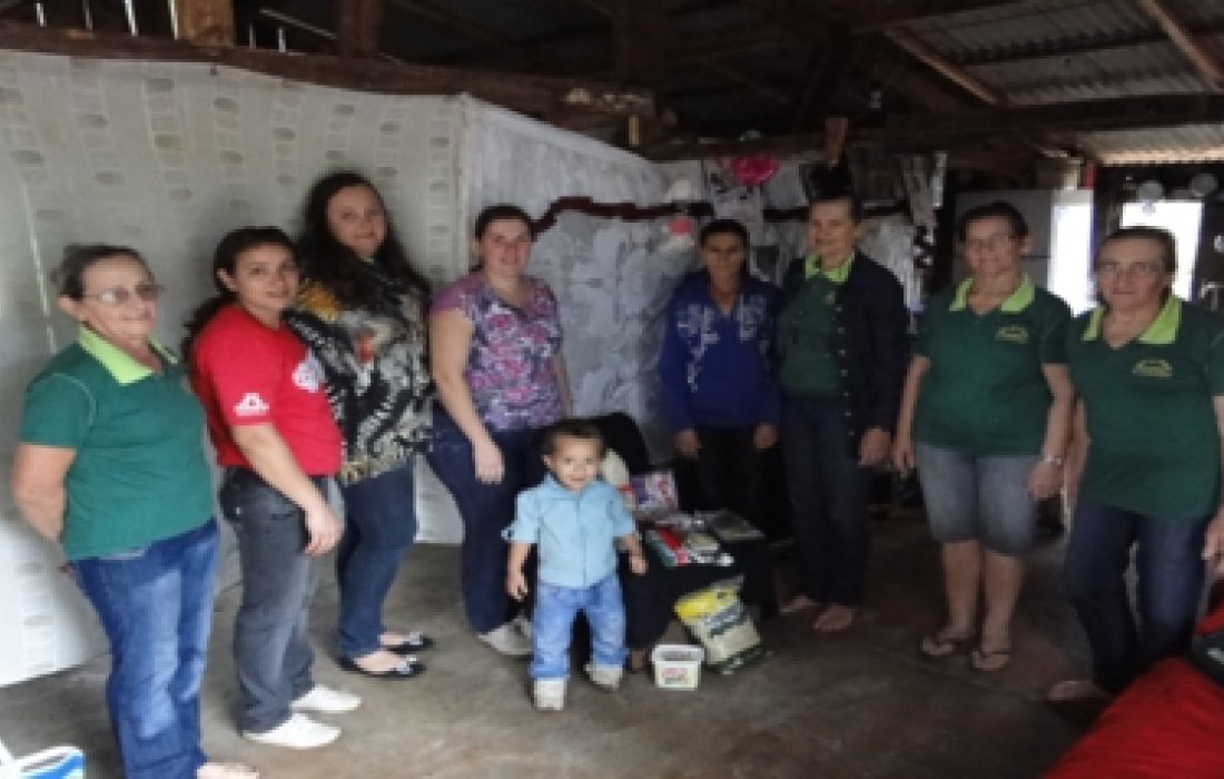 Comit&ecirc; Feminino As Palmeirinhas tem palestra e realiza a&ccedil;&atilde;o social