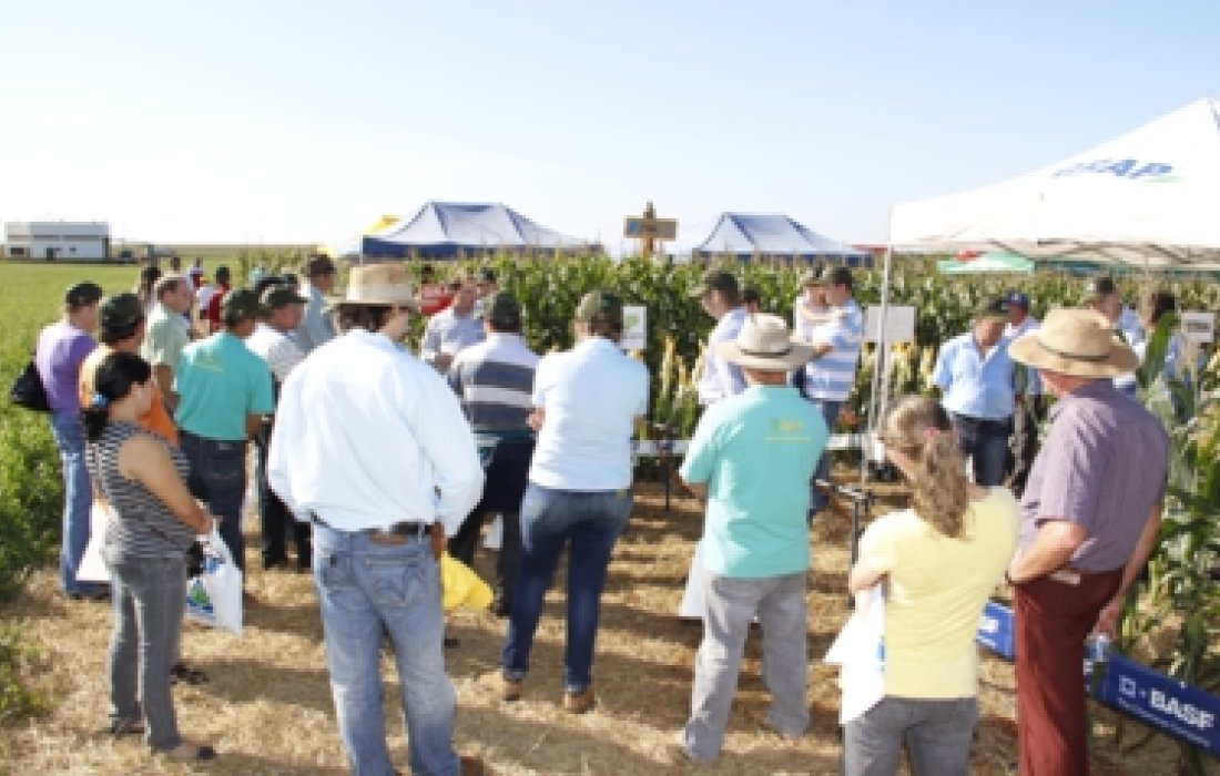 Dia de Campo Milho Safrinha da Copagril atrai mais de 500 pessoas