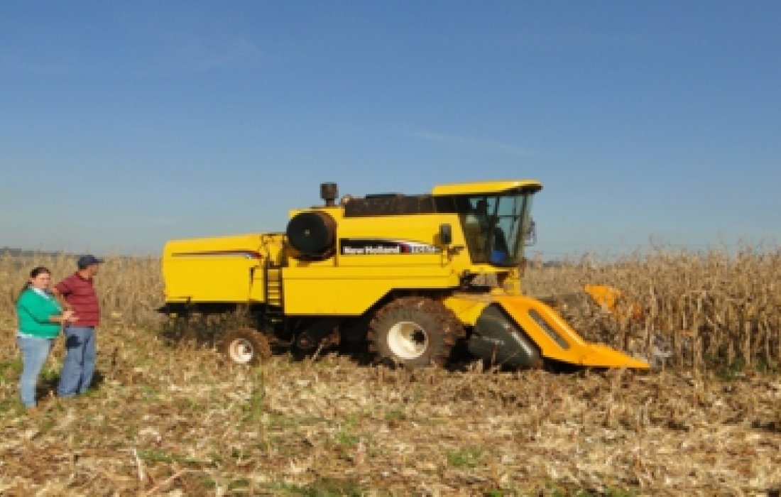 Associados iniciam colheita do milho safrinha na &aacute;rea de a&ccedil;&atilde;o da Copagril