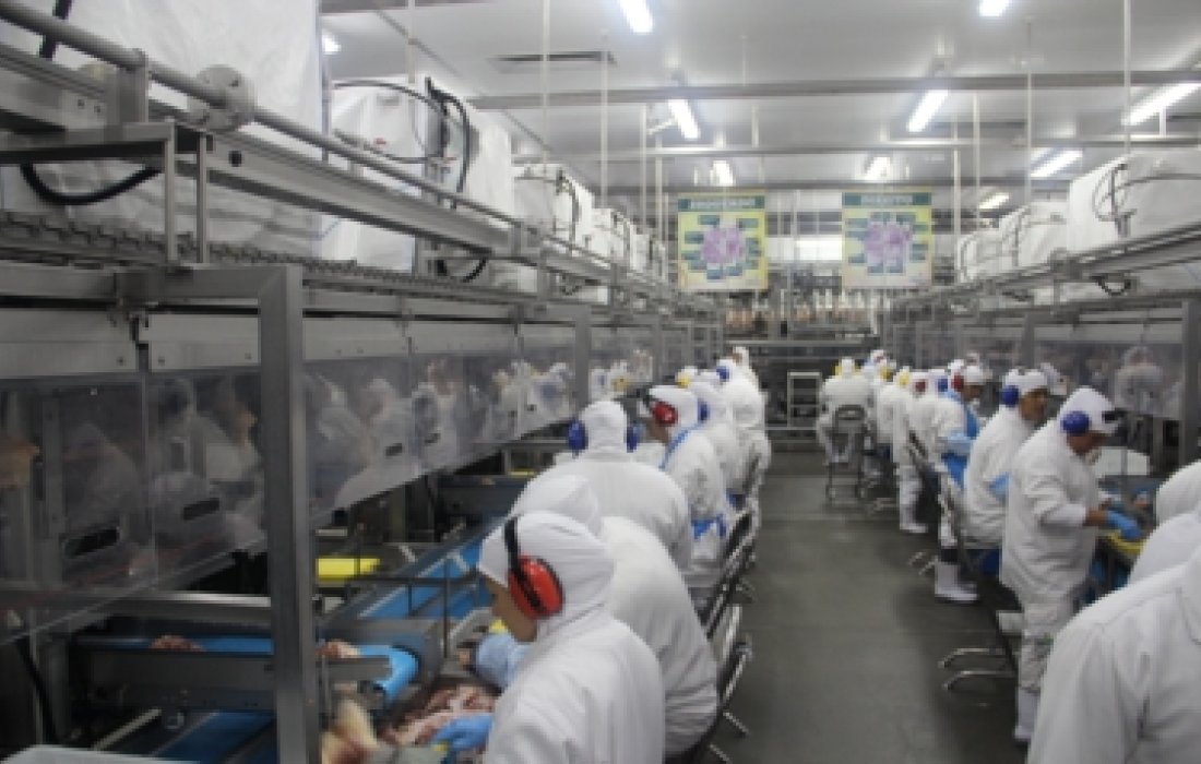  Ap&oacute;s reabilita&ccedil;&atilde;o, Copagril pode voltar a exportar carne de frango para R&uacute;ssia