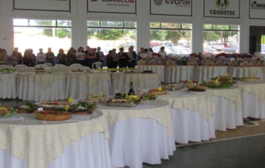  Concurso de pratos da ACFC: criatividade e integra&ccedil;&atilde;o