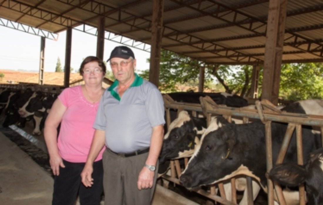  Associado da Copagril obt&eacute;m certifica&ccedil;&atilde;o de propriedade livre de brucelose e tuberculose