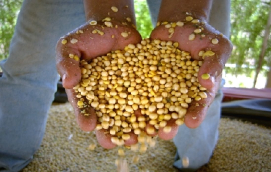  Cooperativismo &eacute; sa&iacute;da para pre&ccedil;os baixos