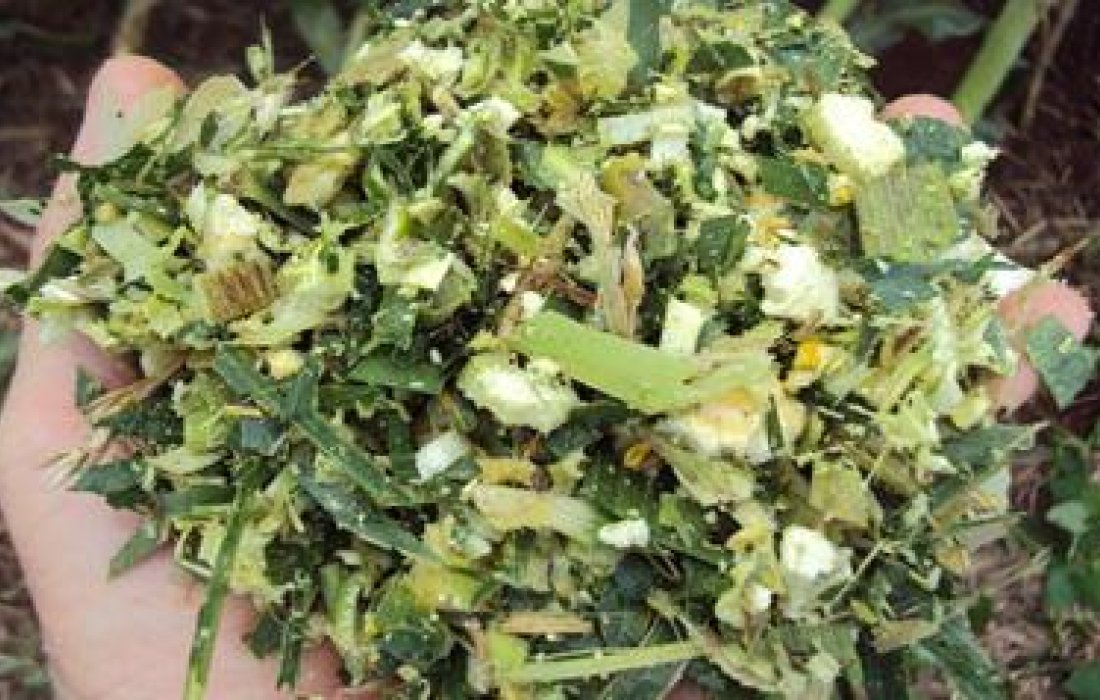 Copagril promove Concurso da Silagem de Melhor Qualidade