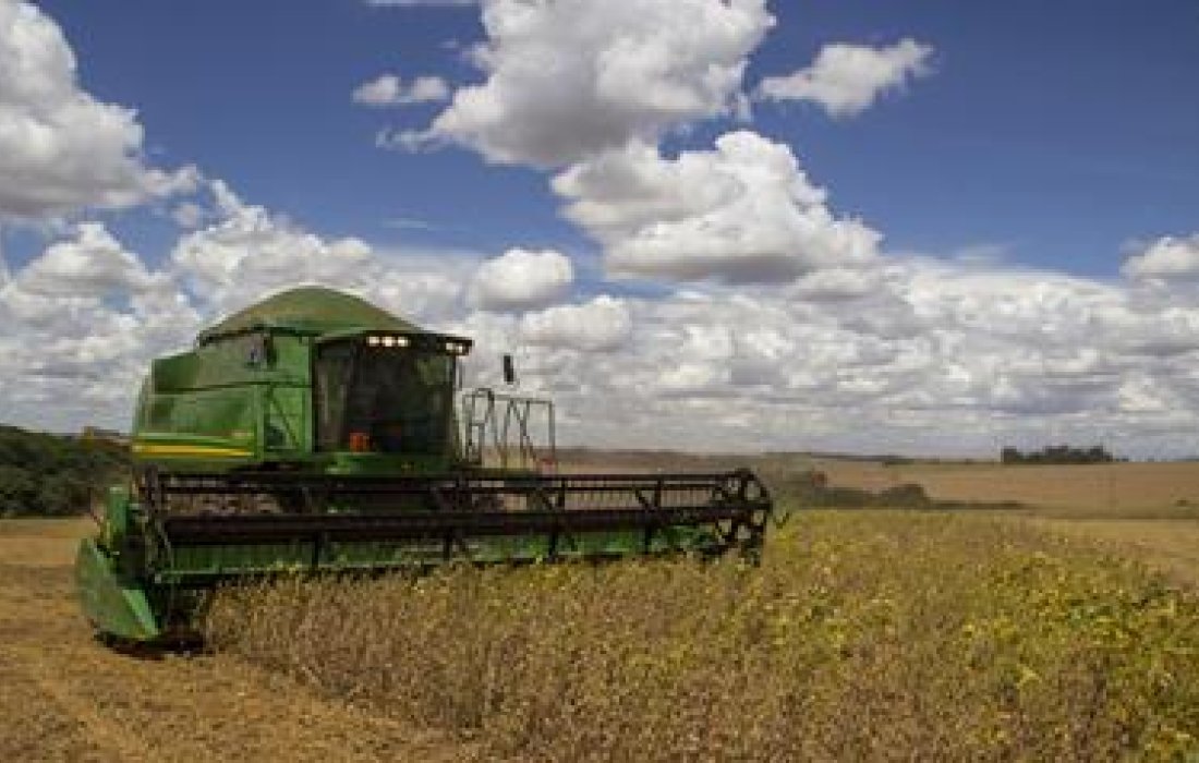 Cuidados pr&eacute;-colheita e plantio safrinha