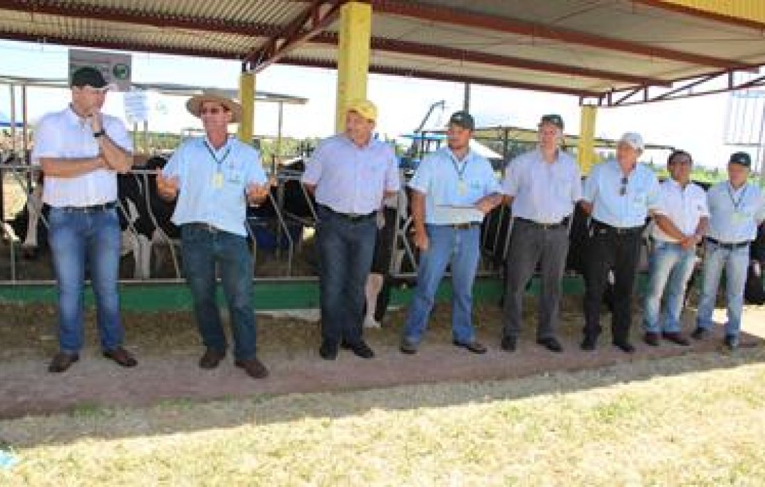 Produtores de leite s&atilde;o premiados por silagem de alta qualidade