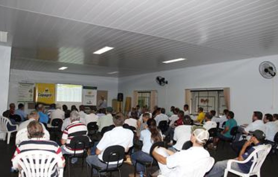 Rodada de reuni&otilde;es de n&uacute;cleos cooperativos come&ccedil;a amanh&atilde;