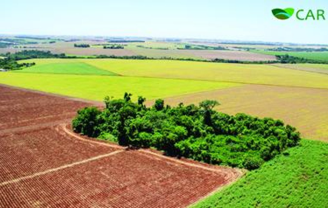Paran&aacute; tem mais de 90 mil propriedades cadastradas no CAR