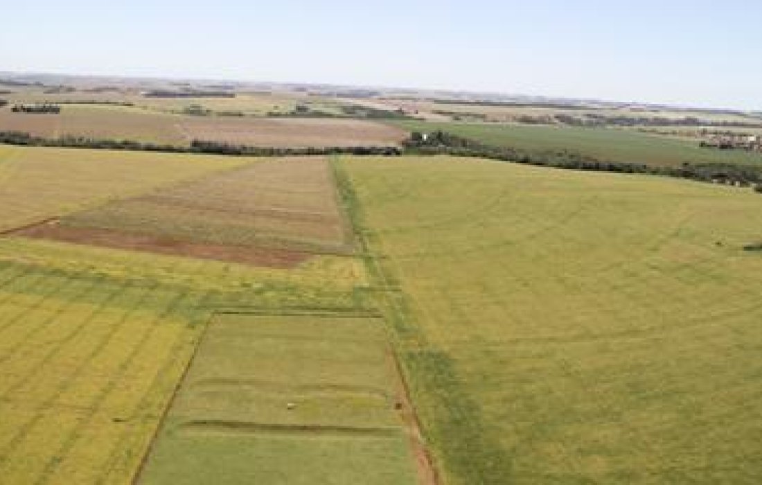 Cadastro Ambiental Rural tem prazo prorrogado por um ano
