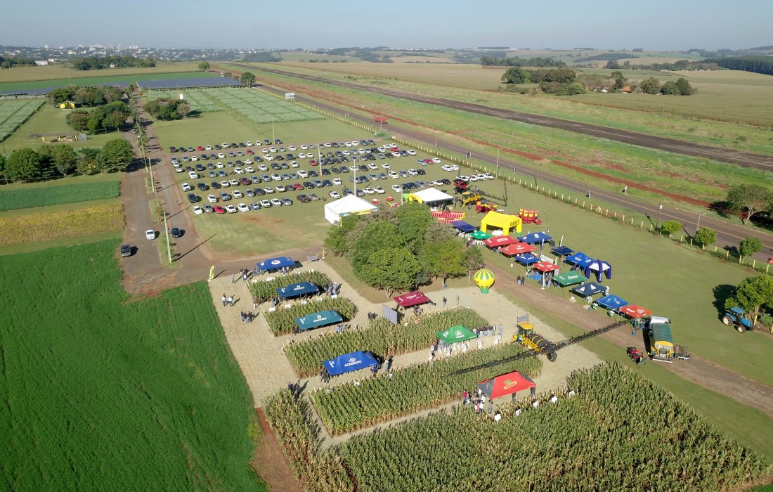 Dia de Campo Milho Safrinha Copagril apresenta novidades em h&iacute;bridos