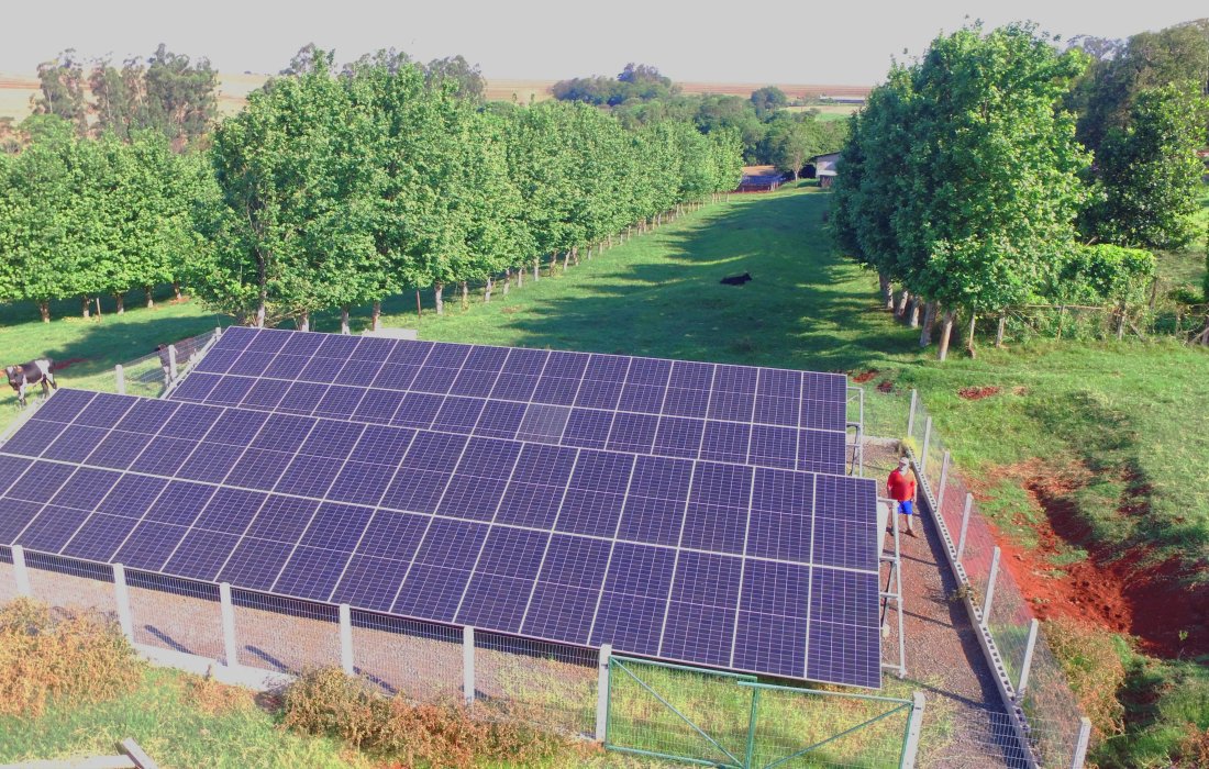 Programa Crédito de Carbono Copagril constrói um legado do cooperativismo para um futuro sustentável