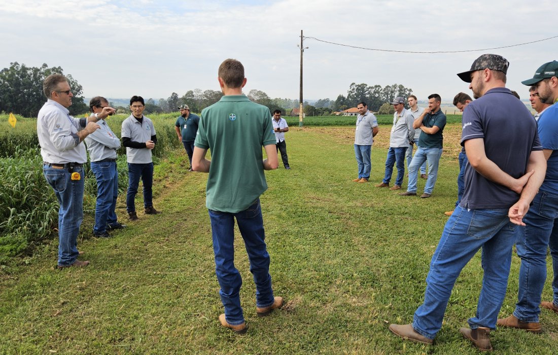 Copagril, IDR-Paran&aacute; e Unioeste avaliam plantas de cobertura na Esta&ccedil;&atilde;o Experimental