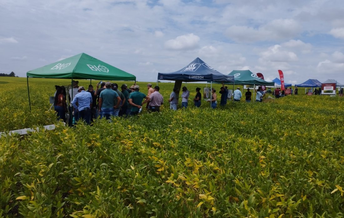 Dia de Campo Copagril re&uacute;ne produtores em Itaquira&iacute;, Mato Grosso do Sul