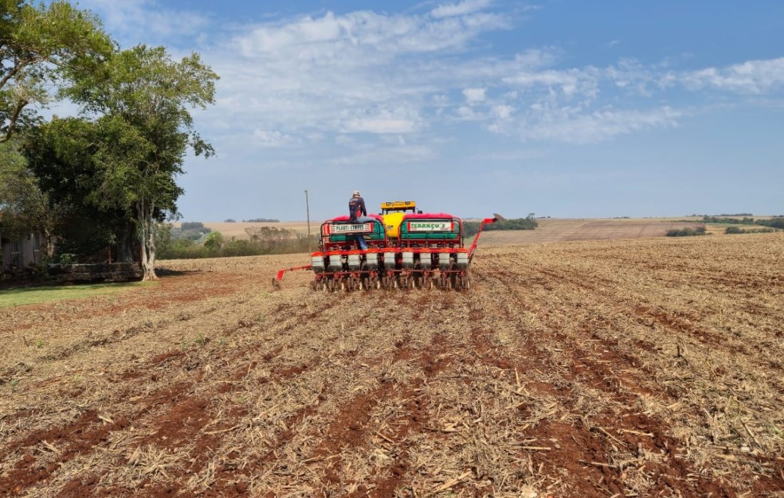 Safra de soja 2026/27 come&ccedil;a com boas perspectivas e aten&ccedil;&atilde;o redobrada ao manejo