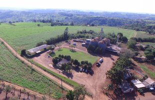  São José das Palmeiras