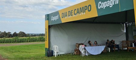 Dia de Campo Copagril Milho Safrinha 2024