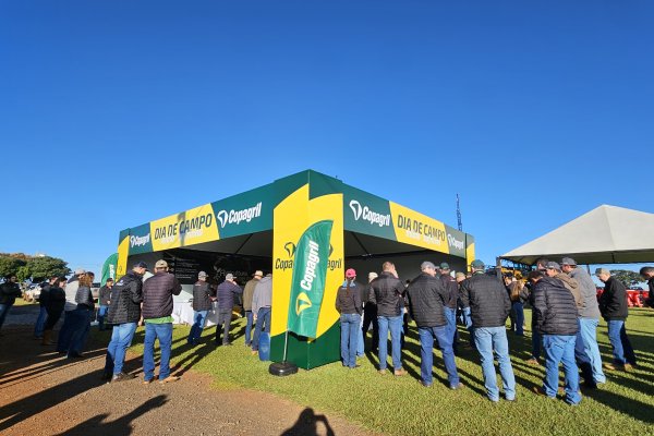 H&iacute;bridos, manejo e fertilidade s&atilde;o destaques do Dia de Campo Milho Safrinha da Copagril