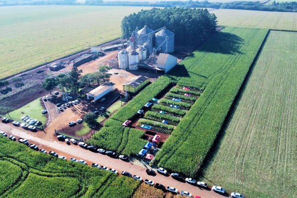 Copagril realiza Dia de Campo Milho Safrinha em Bela Vista