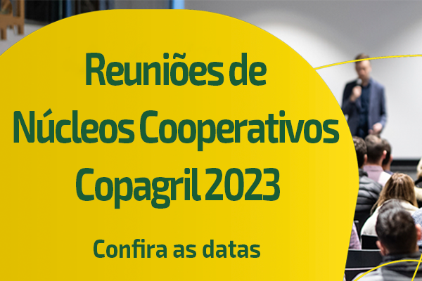 Reuni&otilde;es dos N&uacute;cleos Cooperativos acontecem em novembro e dezembro