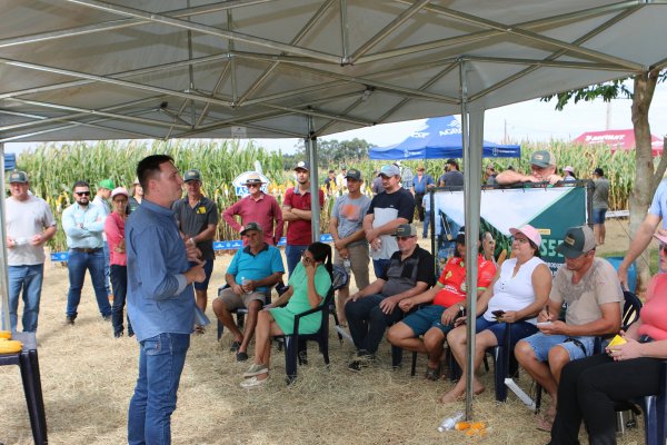 Copagril Realiza Mais uma Edi&ccedil;&atilde;o do Dia de Campo - Milho Safrinha