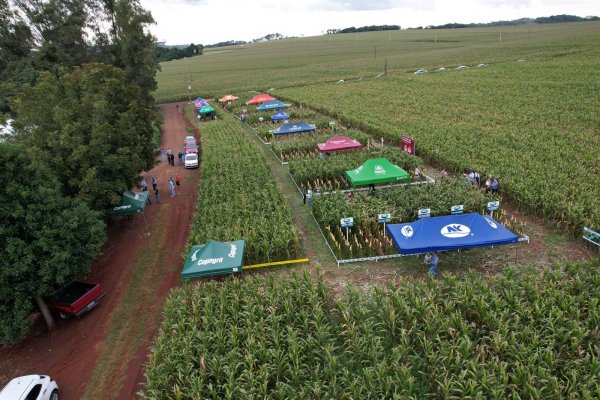 Copagril d&aacute; sequ&ecirc;ncia aos Dias de Campo Milho Safrinha