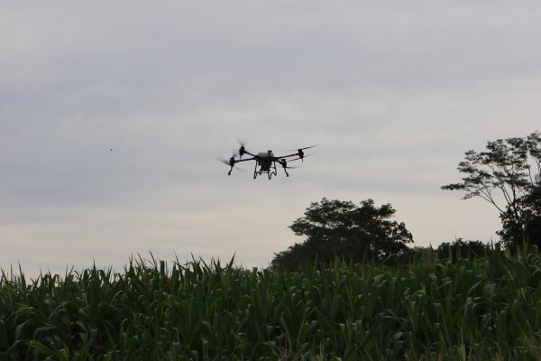 Drone de pulveriza&ccedil;&atilde;o proporciona equil&iacute;brio entre rentabilidade e sustentabilidade