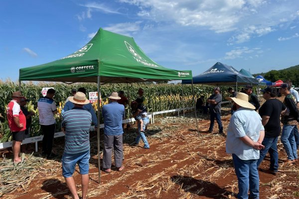 Copagril realiza Dia de Campo Milho Silagem em Entre Rios do Oeste
